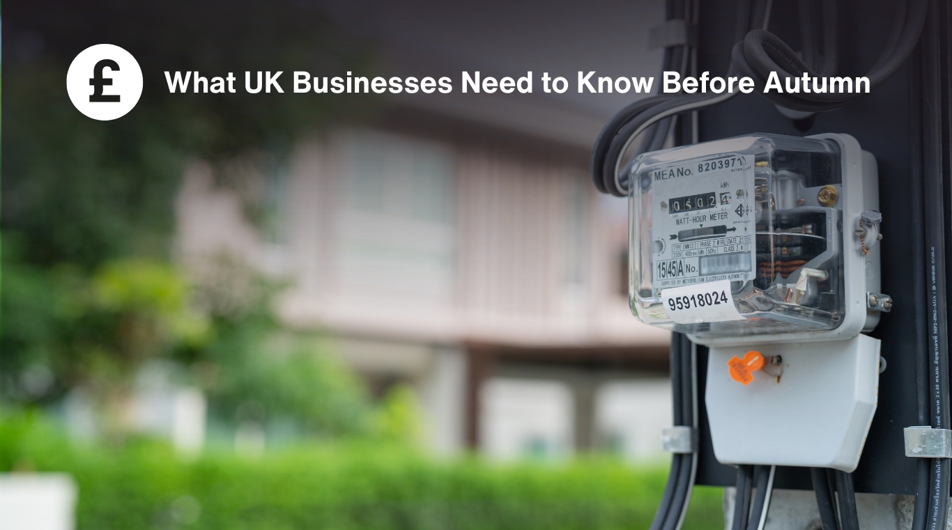 Business electricity supplier comparison guide