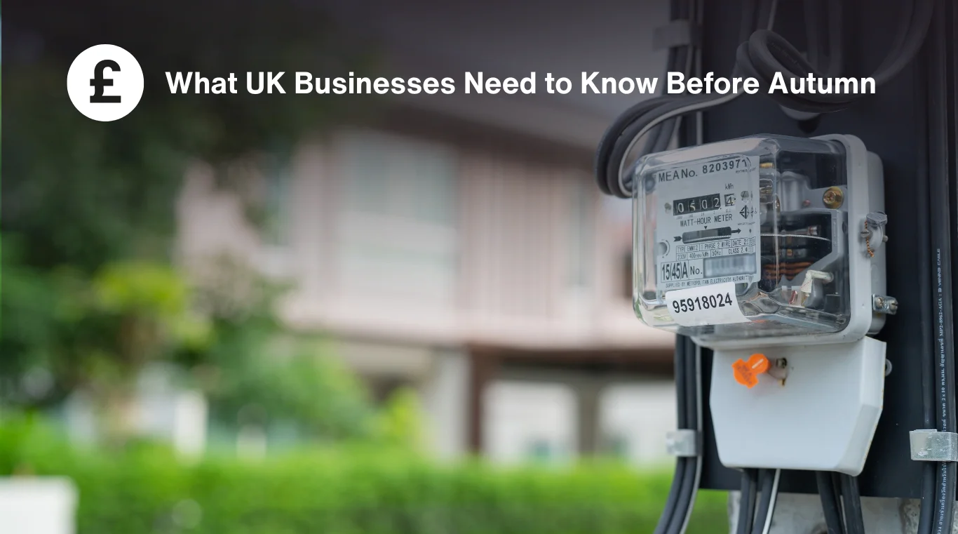Business electricity supplier comparison guide